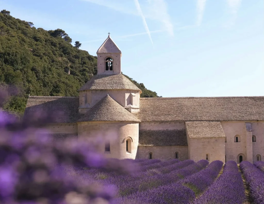 Lavender fields in front of Sénanque Abbey in Provence, France